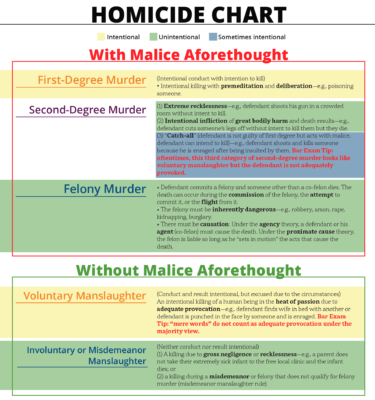 criminal law homicide essay