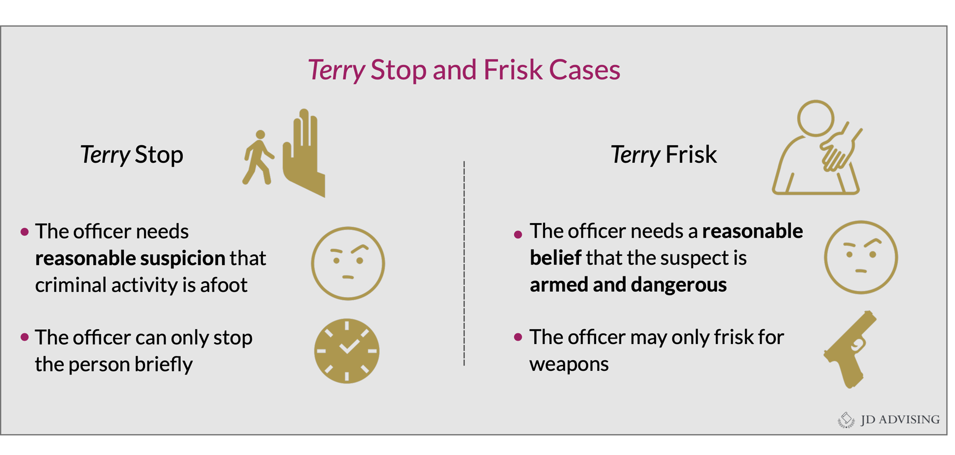 Terry stop and frisk
